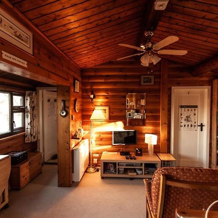 Rustic Log Cabin In Snowdonia By Seren Short Stays Trawsfynydd Екстер'єр фото