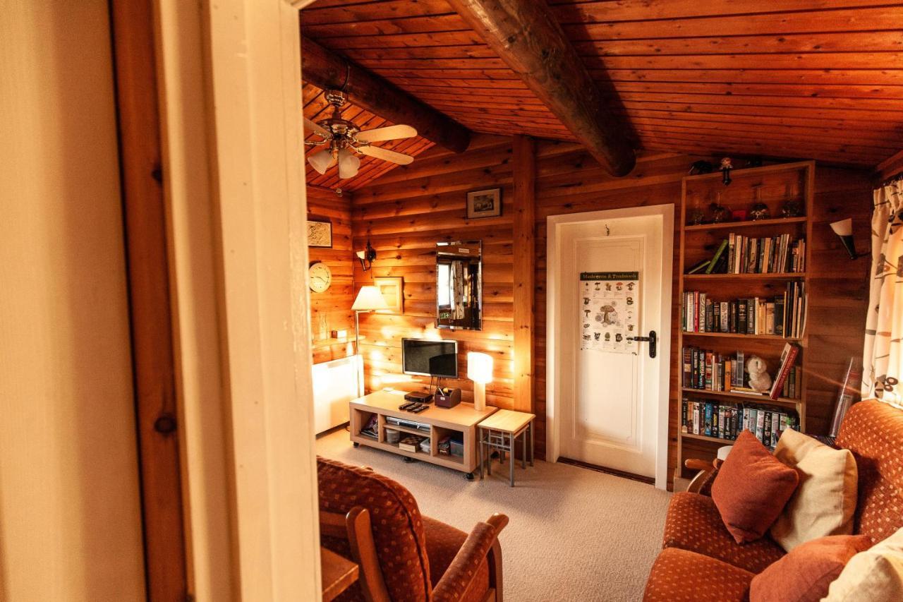 Rustic Log Cabin In Snowdonia By Seren Short Stays Trawsfynydd Екстер'єр фото